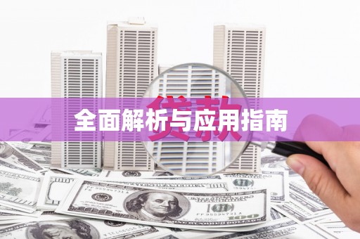 子洲全面解析与应用指南