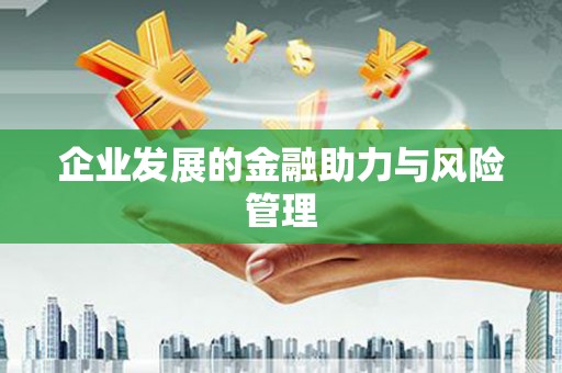 子洲企业发展的金融助力与风险管理