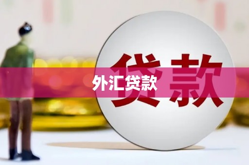 子洲外汇贷款