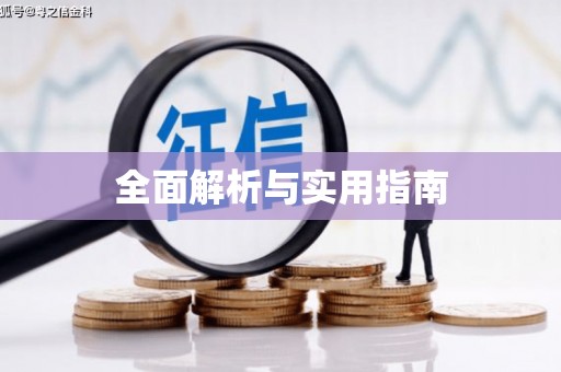 子洲全面解析与实用指南