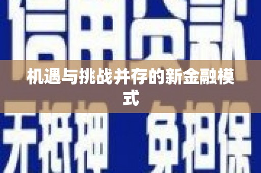子洲机遇与挑战并存的新金融模式