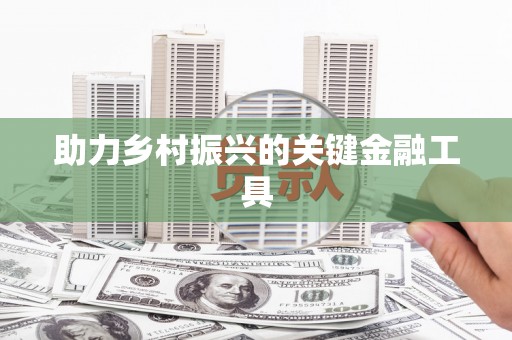 子洲助力乡村振兴的关键金融工具