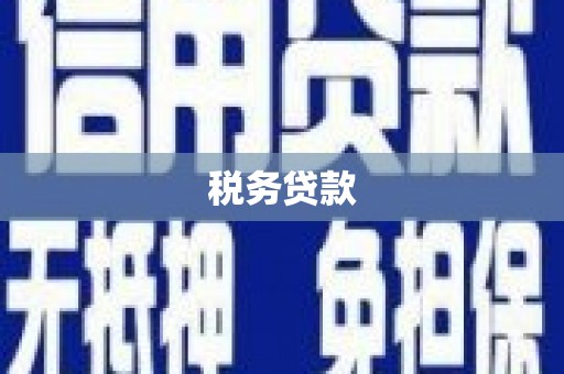 子洲税务贷款