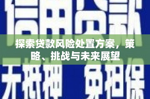 子洲探索贷款风险处置方案，策略、挑战与未来展望