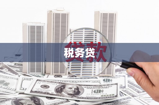 子洲税务贷
