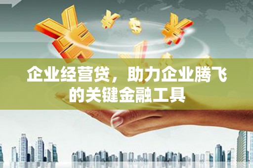子洲企业经营贷，助力企业腾飞的关键金融工具