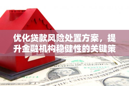 子洲优化贷款风险处置方案，提升金融机构稳健性的关键策略