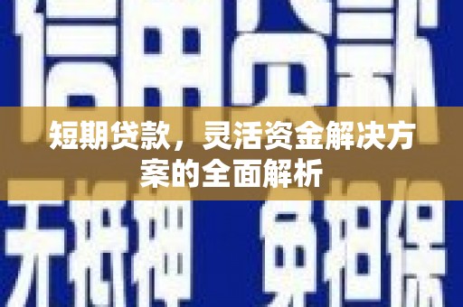 子洲短期贷款，灵活资金解决方案的全面解析
