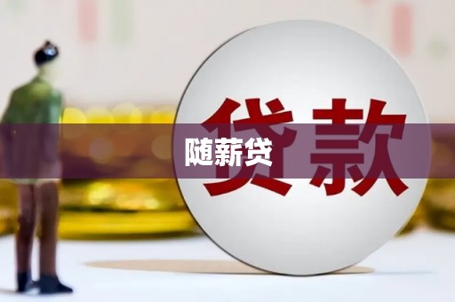 子洲随薪贷