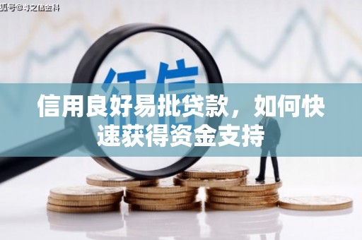 子洲信用良好易批贷款，如何快速获得资金支持