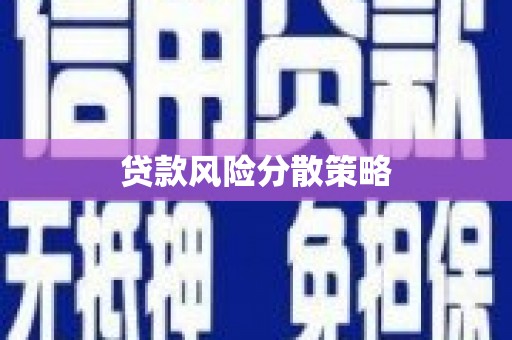 子洲贷款风险分散策略