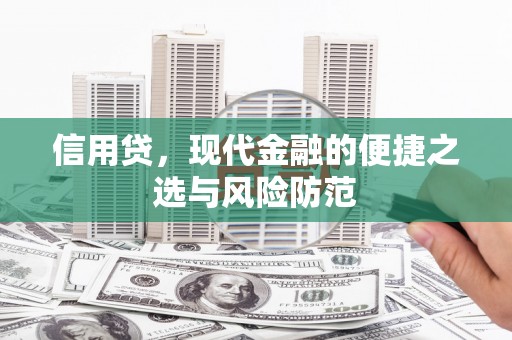 子洲信用贷，现代金融的便捷之选与风险防范