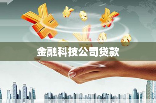 子洲金融科技公司贷款
