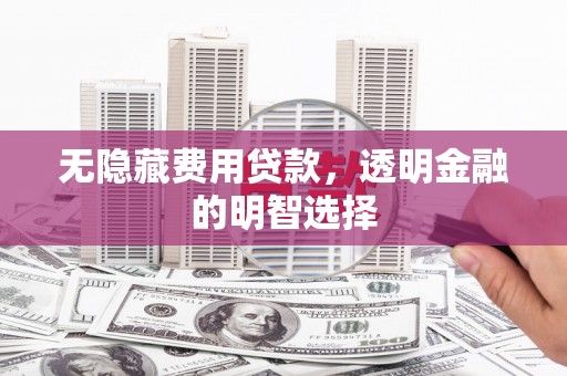 子洲无隐藏费用贷款，透明金融的明智选择