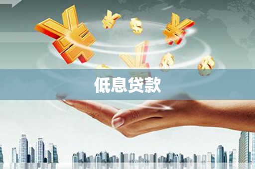 子洲低息贷款