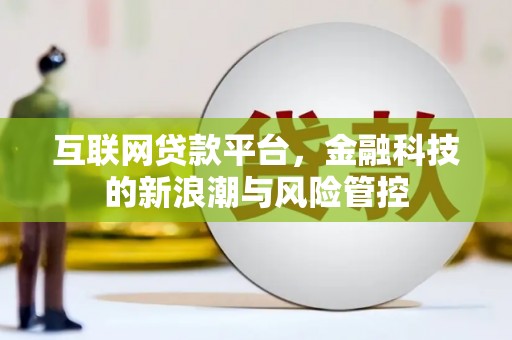 子洲互联网贷款平台，金融科技的新浪潮与风险管控