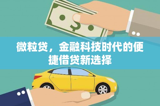 子洲微粒贷，金融科技时代的便捷借贷新选择