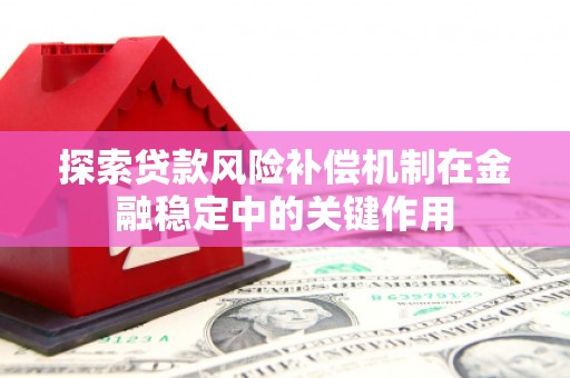 子洲探索贷款风险补偿机制在金融稳定中的关键作用