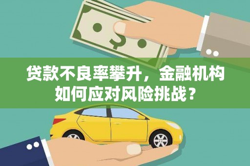子洲贷款不良率攀升，金融机构如何应对风险挑战？
