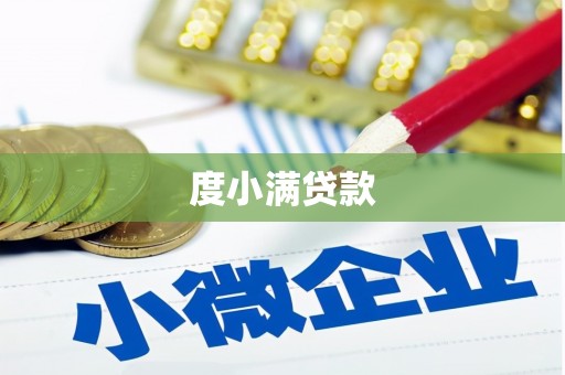 子洲度小满贷款