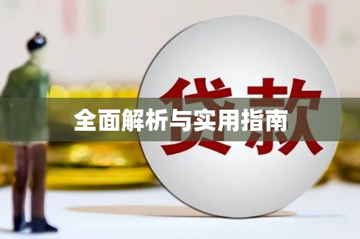 子洲全面解析与实用指南