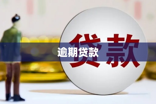 子洲逾期贷款