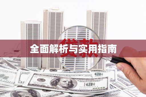 子洲全面解析与实用指南