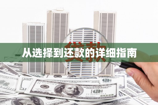 子洲从选择到还款的详细指南