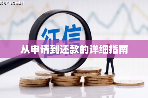 子洲从申请到还款的详细指南
