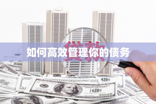 子洲如何高效管理你的债务