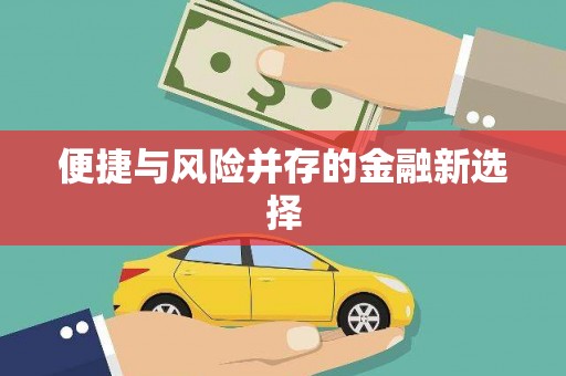 子洲便捷与风险并存的金融新选择