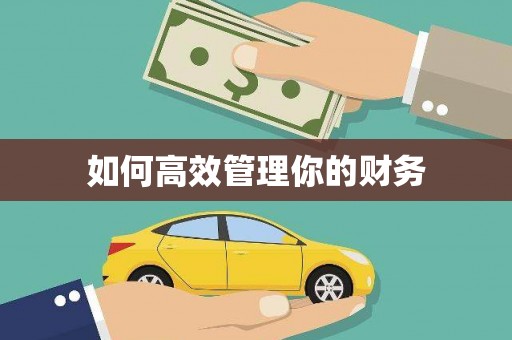 子洲如何高效管理你的财务
