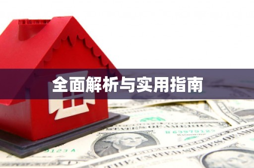 子洲全面解析与实用指南