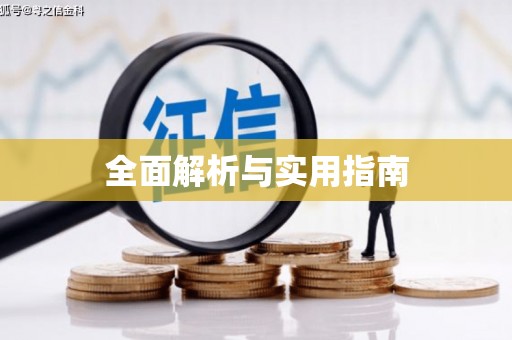 子洲全面解析与实用指南
