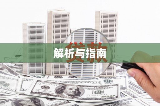 子洲解析与指南