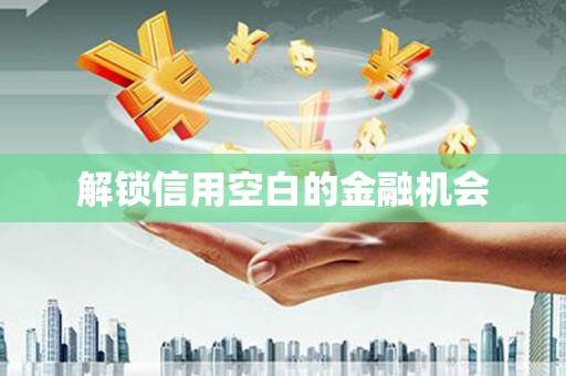 子洲解锁信用空白的金融机会