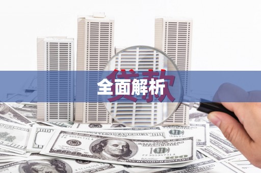 子洲全面解析