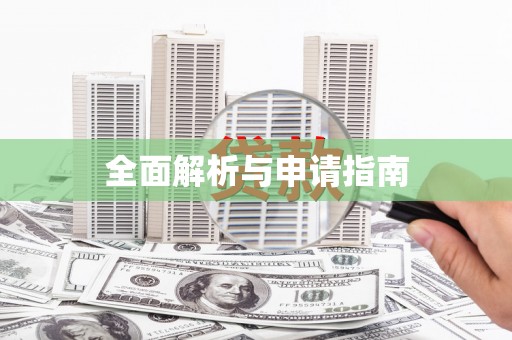 子洲全面解析与申请指南