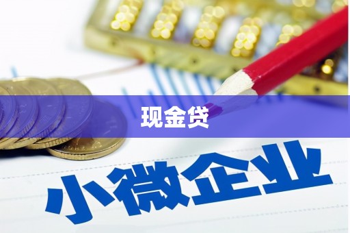 子洲现金贷