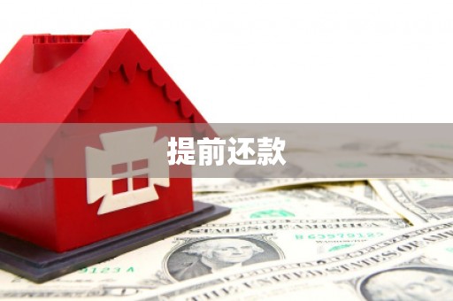 子洲提前还款
