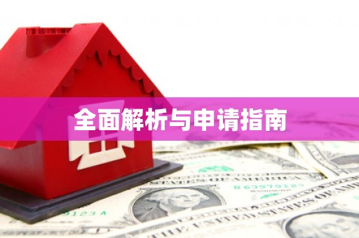 子洲全面解析与申请指南