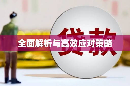 子洲全面解析与高效应对策略