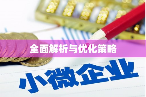 子洲全面解析与优化策略